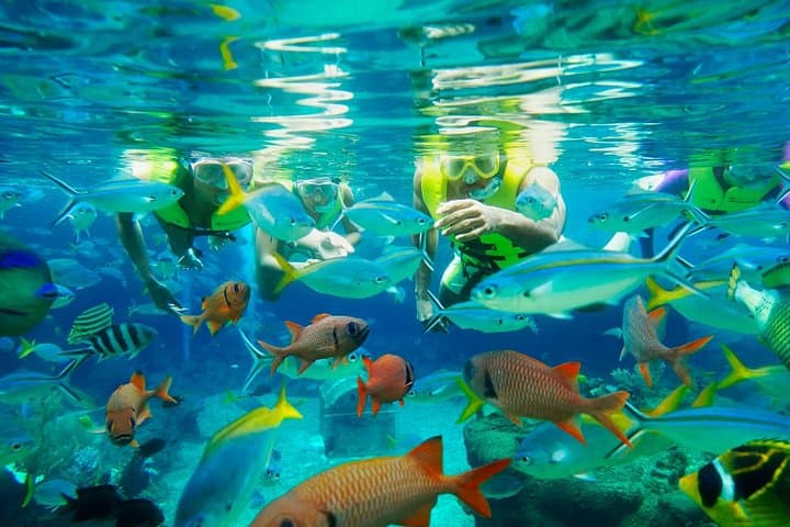 Adventure Cove Waterpark Sentosa — Tickets, Rides & Snorkeling with Tropical Fish photo 2