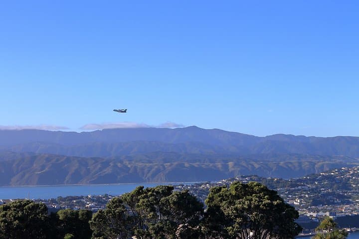 Wellington Mount Victoria Hike — Guided Climb, Filming Sites & Oriental Bay Walk (2.5 hrs) photo 3