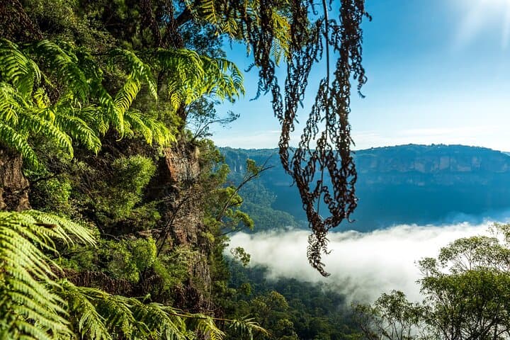 Blue Mountains After-Hours: Waterfalls, Koalas & Three Sisters Sunset Tour photo 6