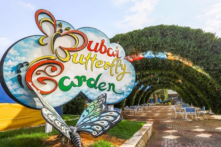 Dubai Butterfly Garden: Admission Ticket & Visitor Guide