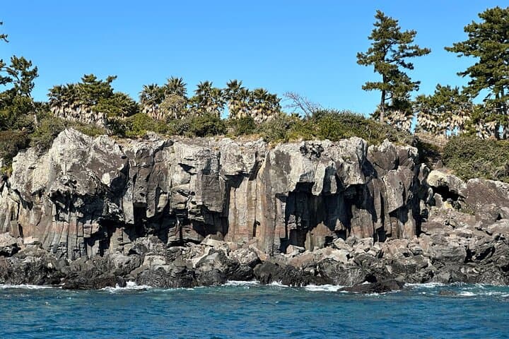 Jeju South Coast Day Tour: Yacht Cruise, Waterfalls & Mt. Hallasan Wetlands photo 2