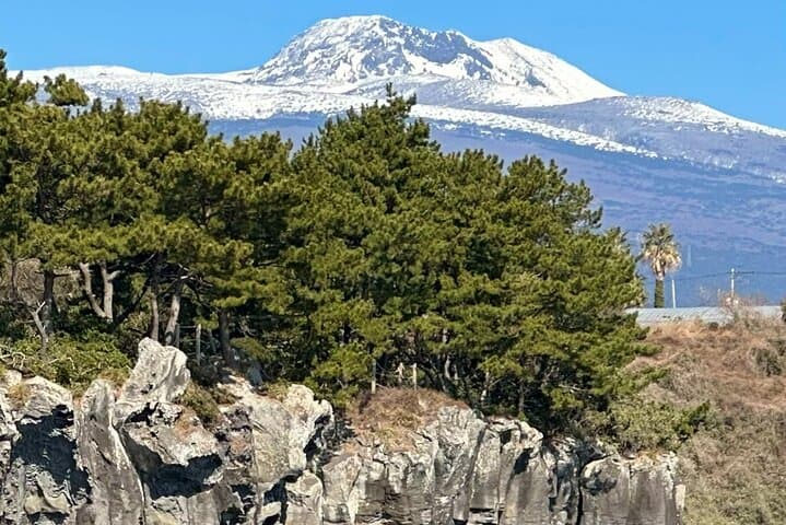 Jeju South Coast Day Tour: Yacht Cruise, Waterfalls & Mt. Hallasan Wetlands photo 4