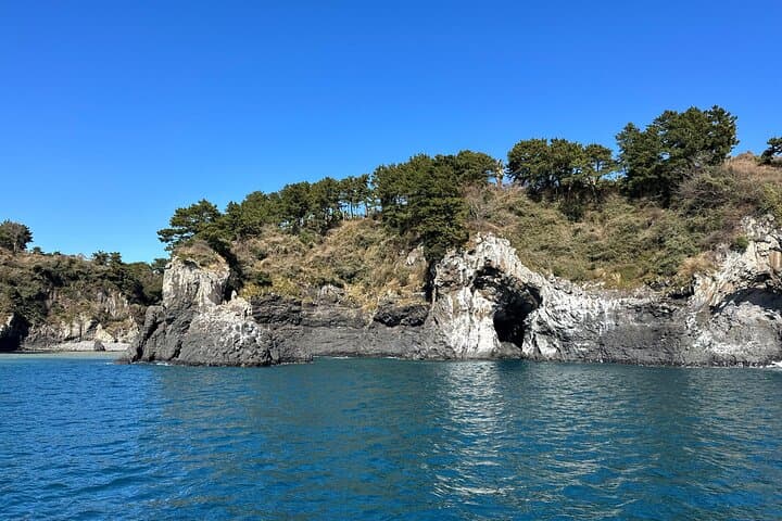 Jeju South Coast Day Tour: Yacht Cruise, Waterfalls & Mt. Hallasan Wetlands photo 6