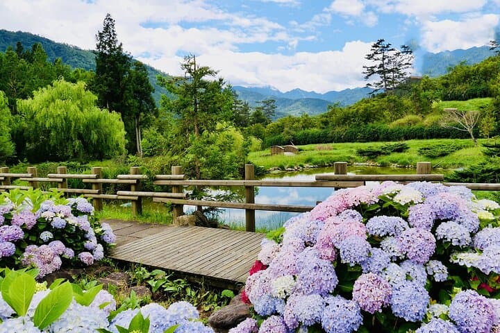 Full-Day Yangmingshan & Beitou: Hot Springs, Volcanic Vistas, and Flower Fields photo 6