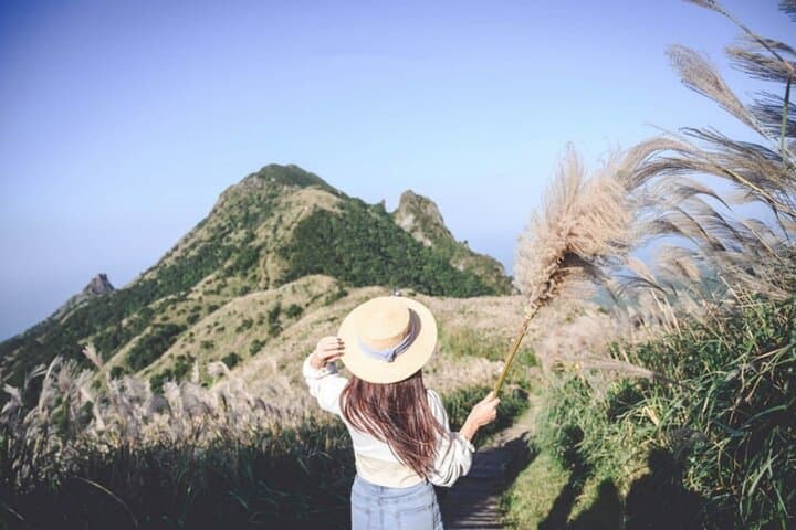 Full-Day Yangmingshan & Beitou: Hot Springs, Volcanic Vistas, and Flower Fields photo 3