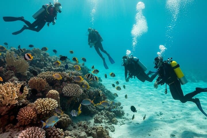 VIP Boat to Ras Mohamed & White Island: Full-Day Snorkel and Dive from Sharm El-Sheikh photo 2
