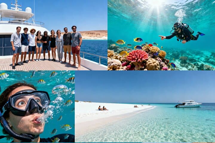 VIP Boat to Ras Mohamed & White Island: Full-Day Snorkel and Dive from Sharm El-Sheikh photo 3