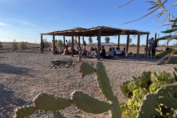Cycle the Palmeraie: Marrakech Palm Desert Bicycle Tour photo 4