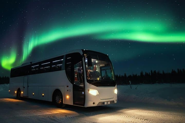 Chase the Aurora: Reykjavík Northern Lights Bus with Hot Chocolate photo 6