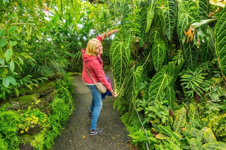 Private Guided Tour of Royal Botanic Garden Edinburgh — Plants, History & Skyline Views