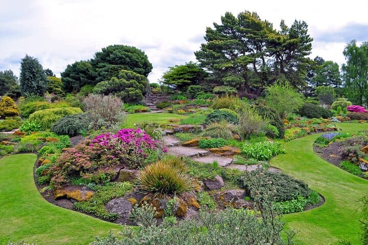 Private Guided Tour of Royal Botanic Garden Edinburgh — Plants, History & Skyline Views photo 3