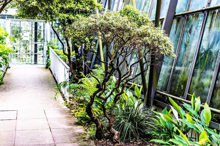 Private Guided Tour of Royal Botanic Garden Edinburgh — Plants, History & Skyline Views photo 4