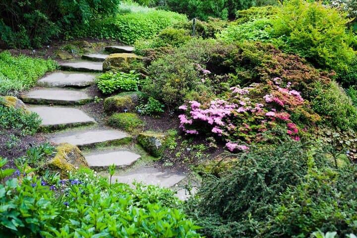 Private Guided Tour of Royal Botanic Garden Edinburgh — Plants, History & Skyline Views photo 5