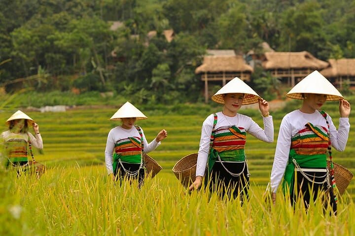Pu Luong Uncovered: 1-Day Trek Through Rice Terraces, Caves & Village Life photo 6