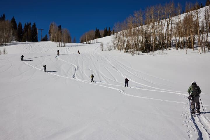 Wasatch Splitboard Education: Backcountry Essentials Course in Utah