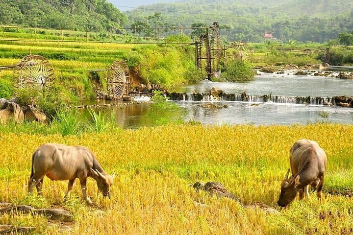One-Day Pu Luong Retreat: Bus, Hike, Bamboo Rafting & Hieu Waterfall photo 2