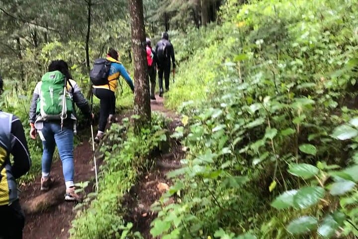 Private Hike to Chipinque from Monterrey — Full-Day Pine-Oak Trail Experience photo 2