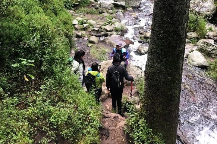 Private Hike to Chipinque from Monterrey — Full-Day Pine-Oak Trail Experience photo 5