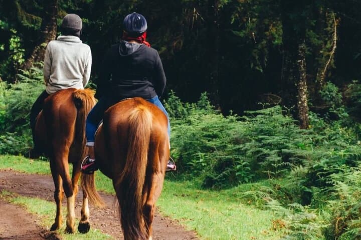 Kereita to Hell’s Gate: Zipline, Climb and Cycle the Wild Side of Naivasha