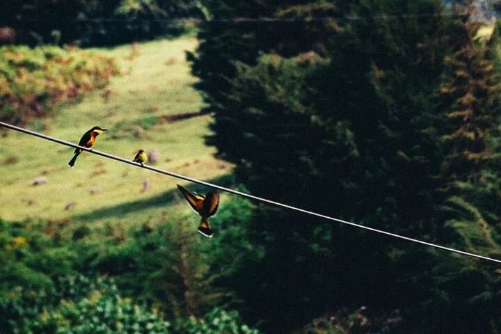 Kereita to Hell’s Gate: Zipline, Climb and Cycle the Wild Side of Naivasha photo 2