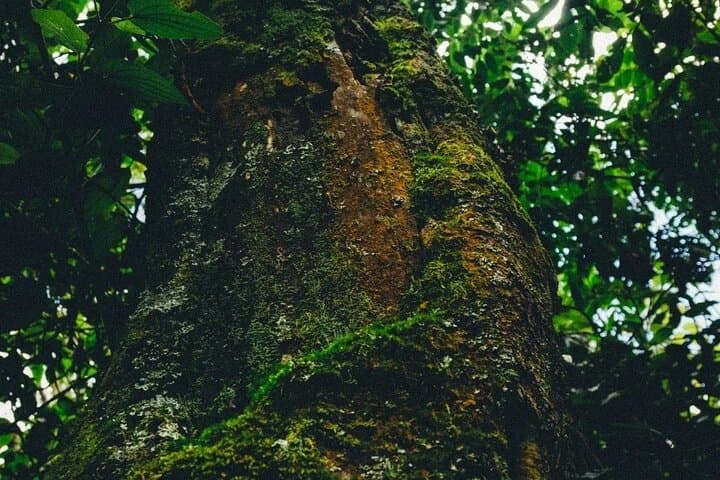 Kereita to Hell’s Gate: Zipline, Climb and Cycle the Wild Side of Naivasha photo 4