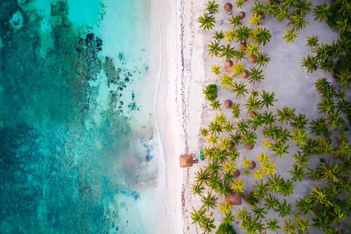 Sian Kaan Day Trip from Tulum — Dolphins, Turtles & Punta Allen photo 3