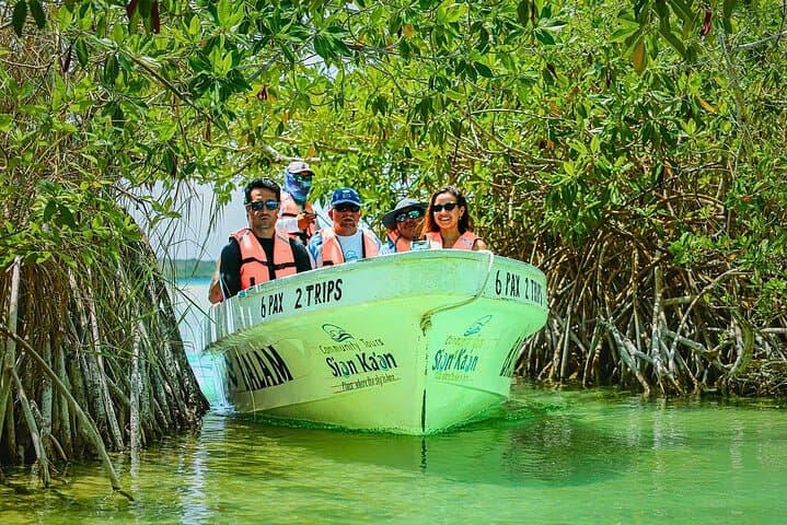 Sian Kaan Day Trip from Tulum — Dolphins, Turtles & Punta Allen photo 5