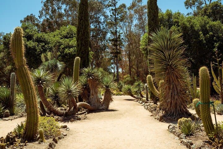 Stanford University Campus Adventure: Self-Guided Puzzle Scavenger Hunt photo 6