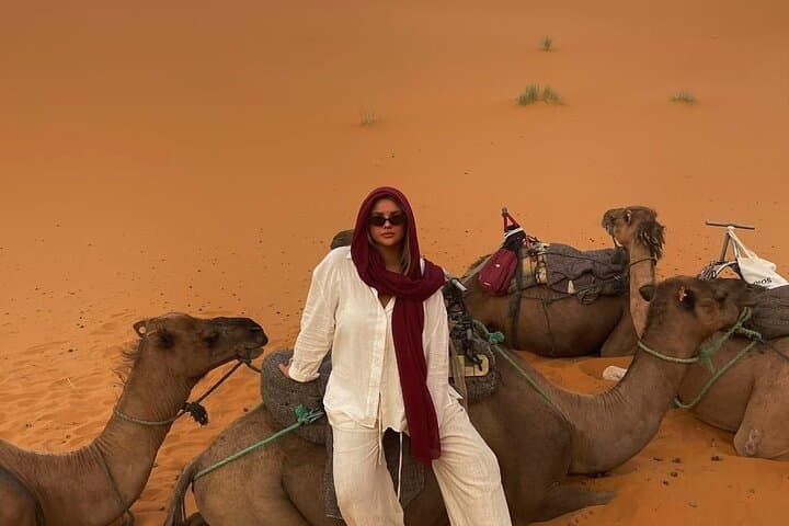 Dubai Desert Safari: Dune Bashing, Sandboarding, Camel Rides & BBQ Under the Stars photo 3
