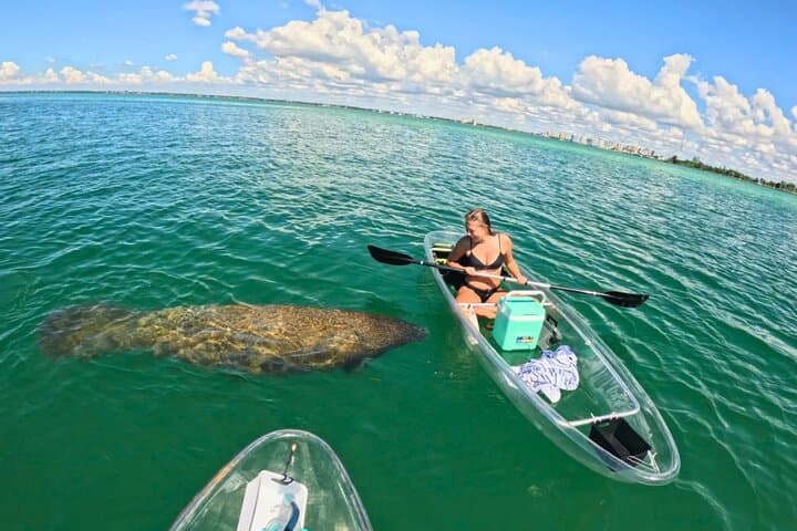 Clear Kayak Beach-Hopping Adventure on Sarasota's Gulf Coast