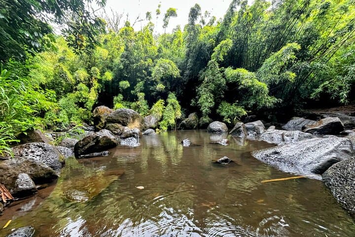 Oahu Guided Waterfall & Tidepool Hike: Waimano, Ka'au Crater, Lulumahu & Makapuu photo 4