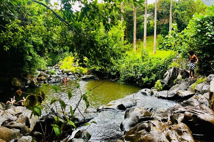 Oahu Guided Waterfall & Tidepool Hike: Waimano, Ka'au Crater, Lulumahu & Makapuu photo 3