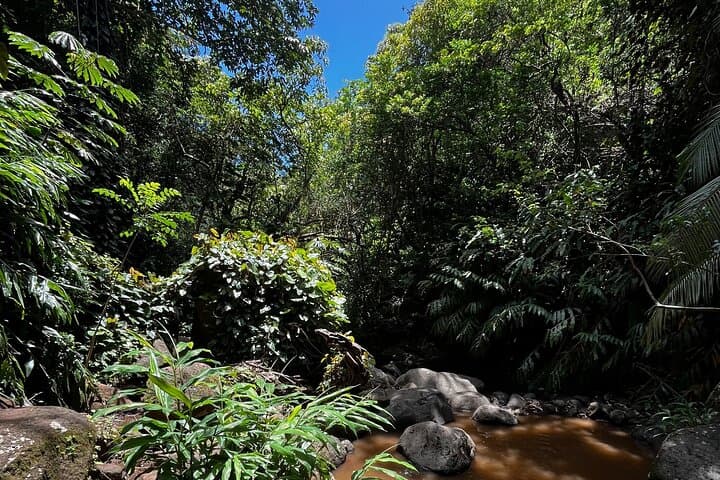 Oahu Guided Waterfall & Tidepool Hike: Waimano, Ka'au Crater, Lulumahu & Makapuu photo 5