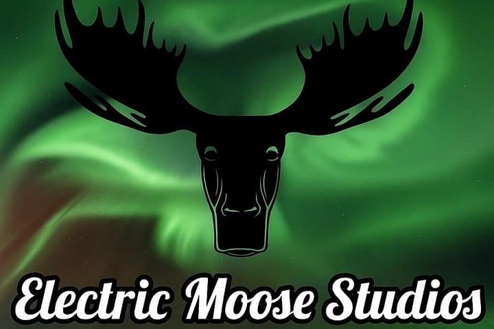 Fairbanks Aurora Photo Tour with Pro Portraits and Stone-Fired Pizza photo 2