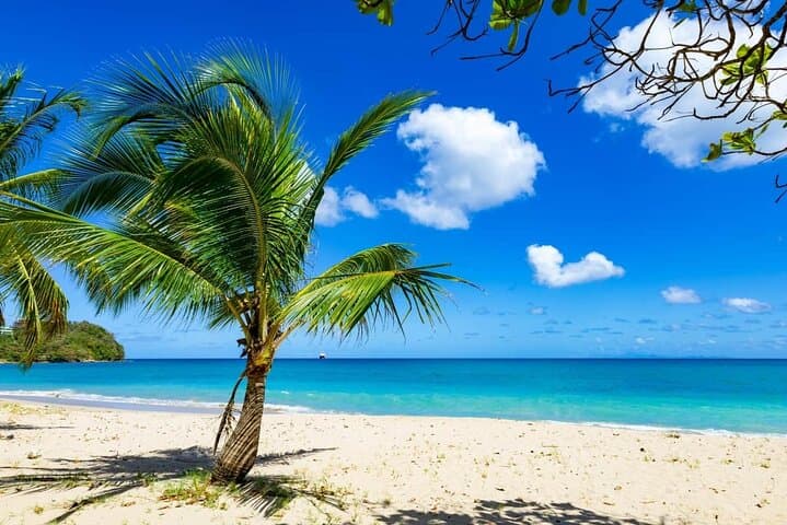 Quick Shuttle from Castries Cruise Port to Vigie Beach photo 4