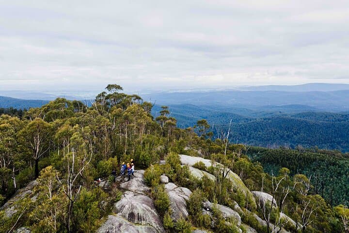 Abseil Seven Acre Rock — Yarra Valley Cliff Rappelling Adventure photo 5