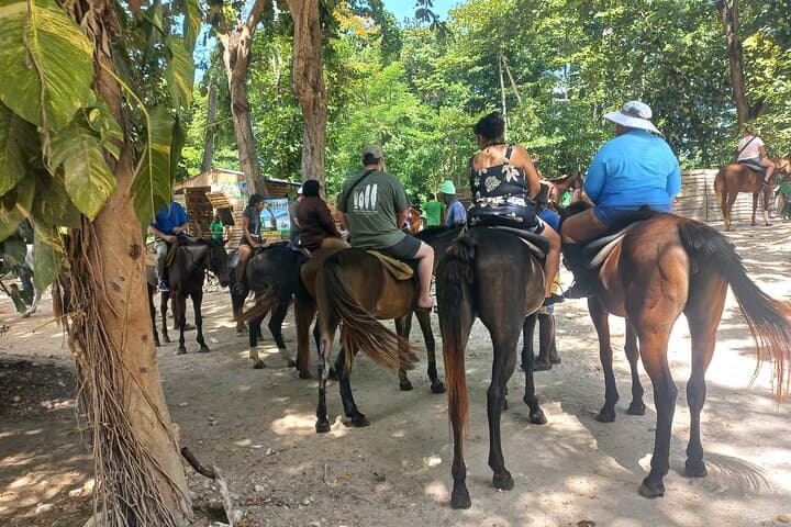 Horseback Riding in Ocho Rios: Beach, River Trails & Caribbean Swims