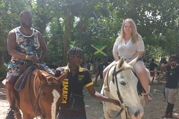 Horseback Riding in Ocho Rios: Beach, River Trails & Caribbean Swims photo 6