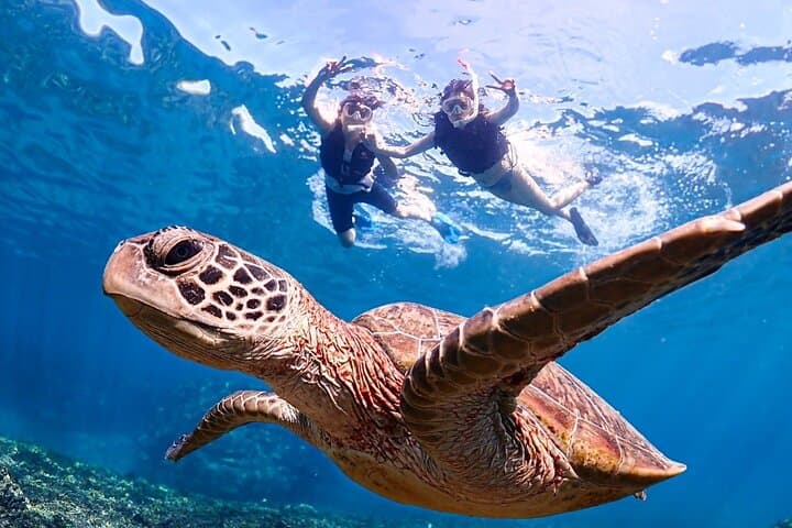 Miyako Island Combo: SUP, Sea Turtle Snorkel & Pumpkin Cave Canoe Adventure