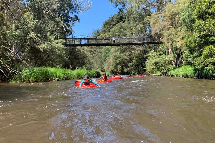 Yarra River Sledding: Self-Guided 3 km Adventure from Warburton