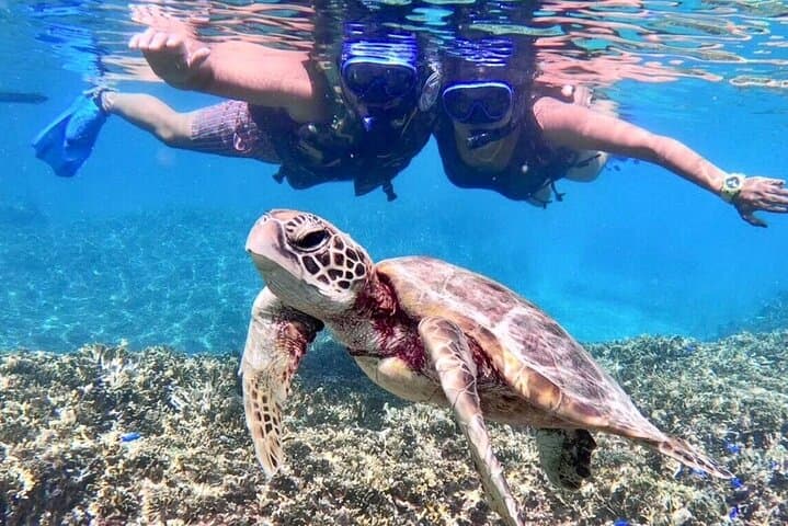 Miyakojima Sea Turtle Snorkel, Pumpkin Limestone Cave & Sea Kayak — 1-Day Adventure photo 1
