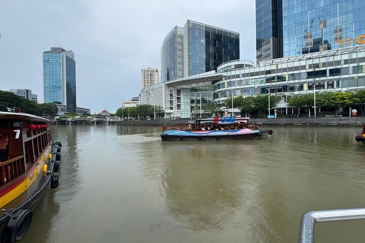 Singapore Night Lights: River Cruise, Garden Rhapsody & Spectra Show photo 4