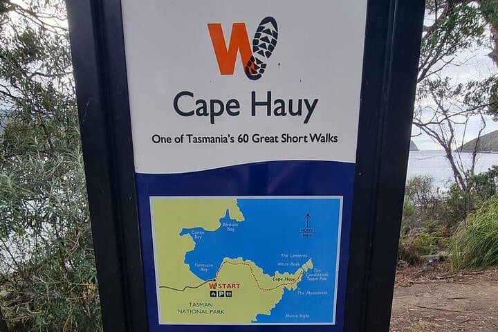 Cape Hauy Hike from Hobart: 9.4 km Coastal Walk to the Candlestick & Totem Pole photo 4