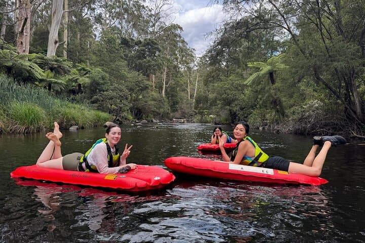 Yarra River Sledding: Self-Guided 3 km Adventure from Warburton photo 2