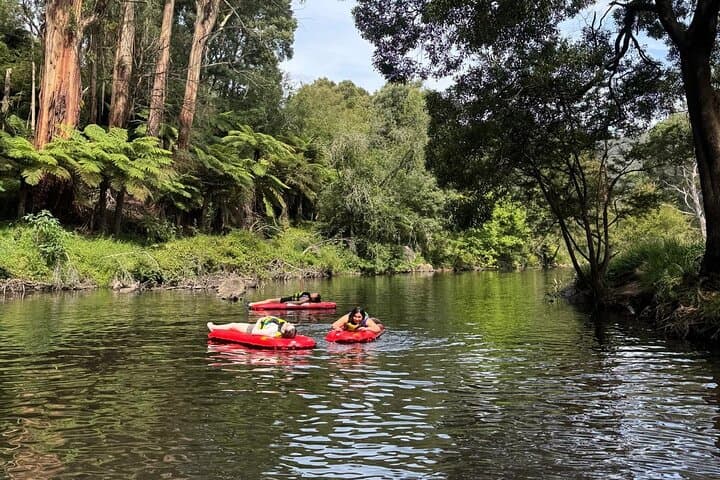 Yarra River Sledding: Self-Guided 3 km Adventure from Warburton photo 5
