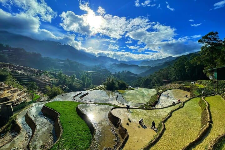 Sapa Trekking: Muong Hoa Rice Terraces, Lao Chai & Ta Van Village Homestay photo 5