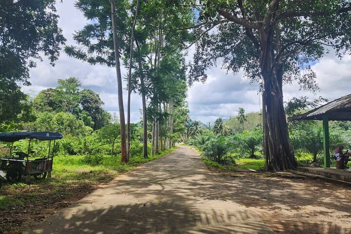 Explore To Luang Cave — Krabi Jurassic World Filming-Site Cave Tour photo 5
