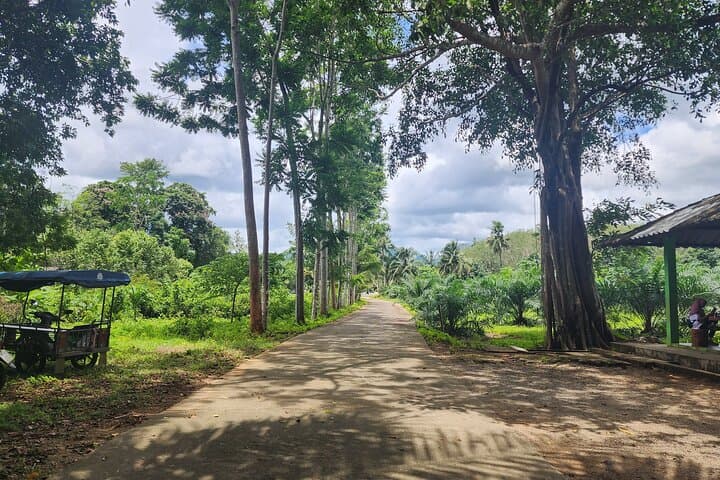 Explore To Luang Jurassic Cave: Half-Day Private Cave Tour from Krabi photo 5