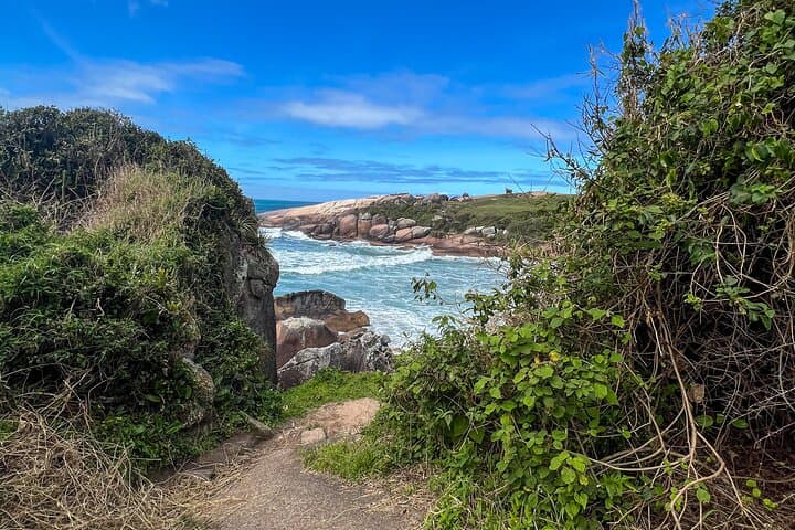 Gravata Trail to Praia da Gravata — Secret Island Hike and Picnic in Florianópolis photo 4