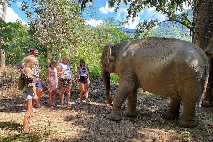 Jurassic World Krabi: Elephant Watching and Huay To Waterfall Day Tour